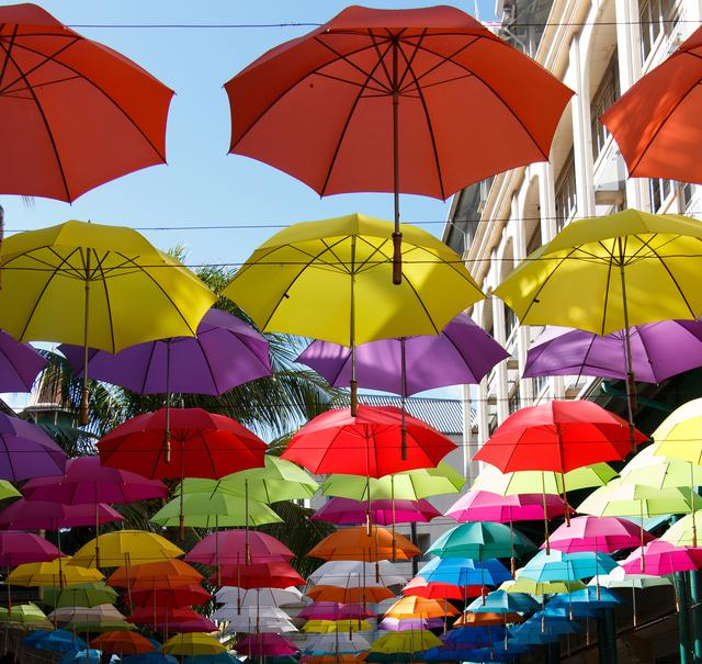 L'introduction du parapluie ensoleillé